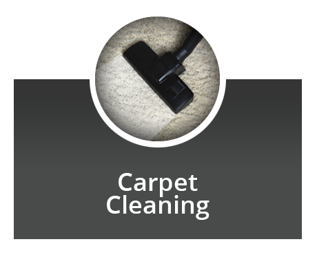 Carpet Cleaning